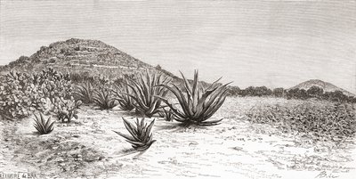 La Pirámide del Sol, Teotihuacan, México de Spanish School